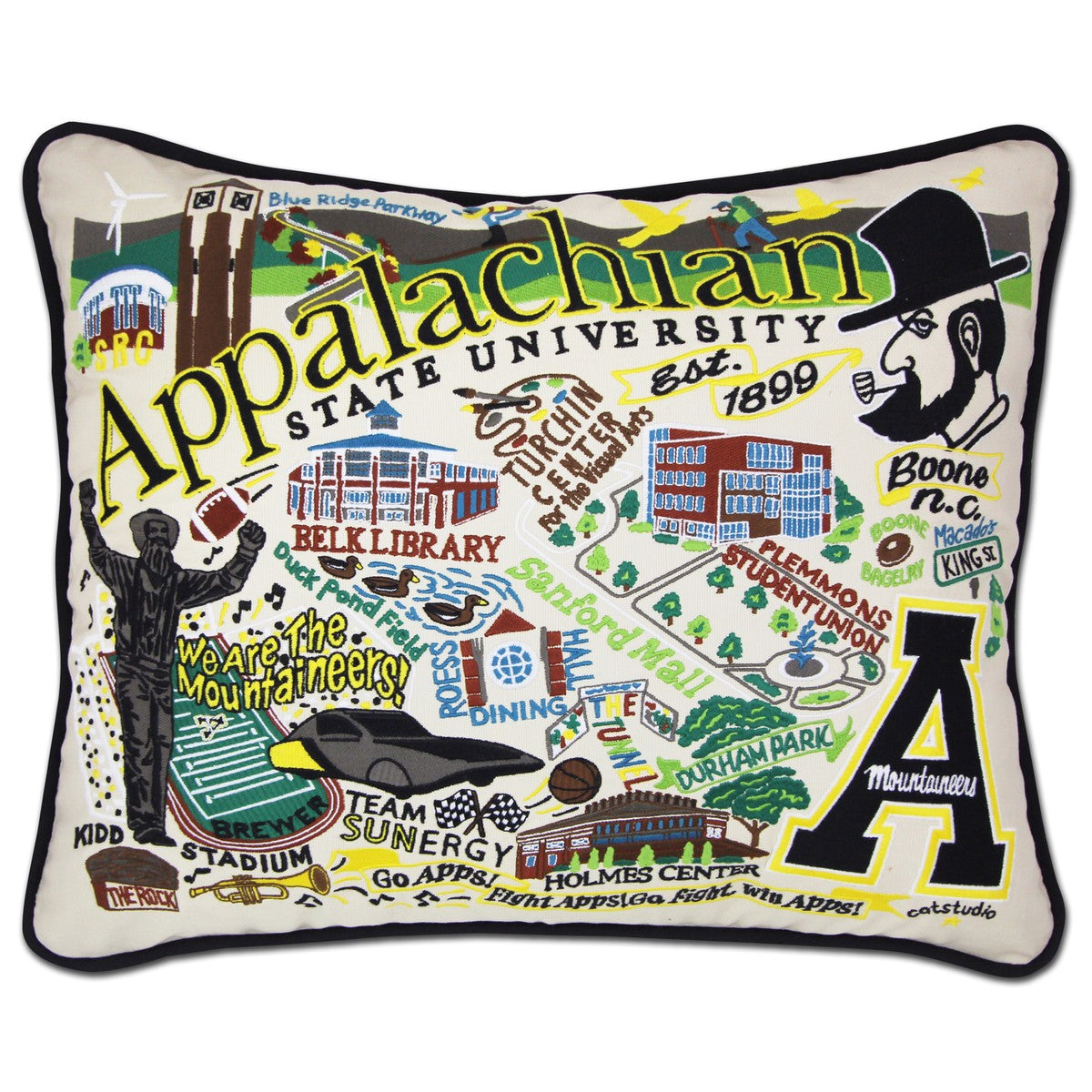 Embroidered state shops pillow