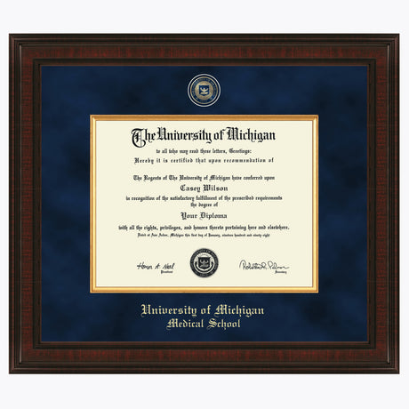 Michigan Medical School Frames &amp; Desk Accessories