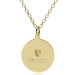 Duke Med 14K Gold Pendant & Chain