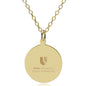 Duke Med 14K Gold Pendant & Chain Shot #1