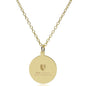 Duke Med 14K Gold Pendant & Chain Shot #2