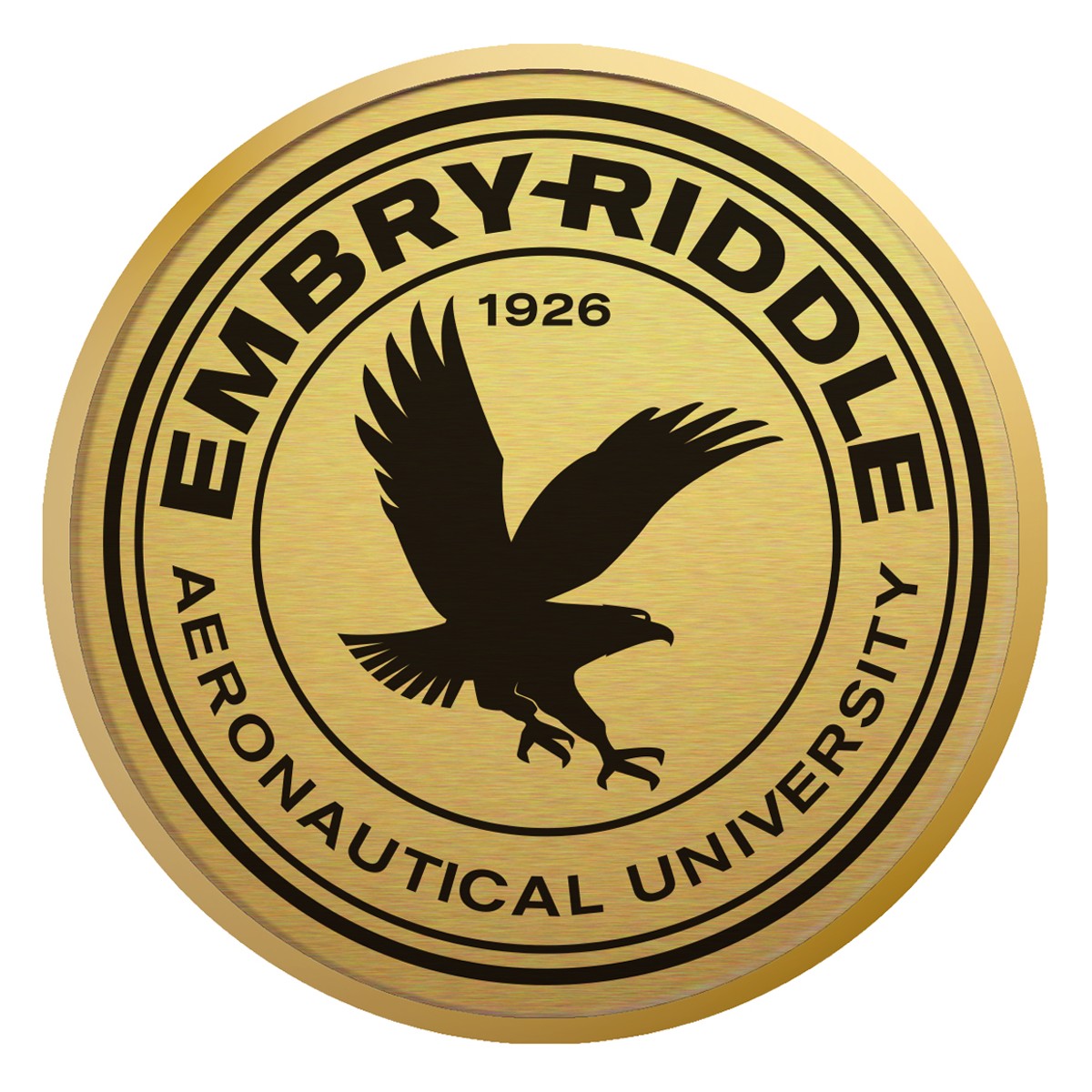 ERAU diploma frame Embry-Riddle Aeronautical University degree certificate hot school picture framing graduation document degree plaque campus