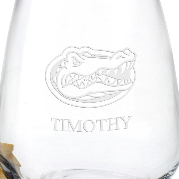 Florida Stemless Wine Glasses Shot #3