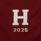 Harvard Class of 2025 Maroon and Ivory Sweater by M.LaHart Shot #2