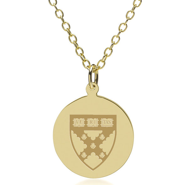 HBS 14K Gold Pendant &amp; Chain Shot #1