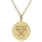 HBS 18K Gold Pendant & Chain Shot #1