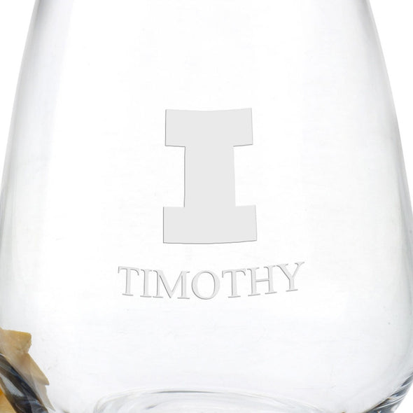 Illinois Stemless Wine Glasses Shot #3