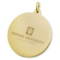 IU School of Medicine 14K Gold Charm Shot #2