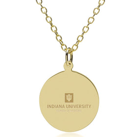 IU School of Medicine 14K Gold Pendant & Chain Shot #1