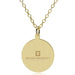 IU School of Medicine 14K Gold Pendant & Chain