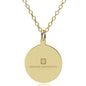 IU School of Medicine 14K Gold Pendant & Chain Shot #1