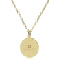 IU School of Medicine 14K Gold Pendant & Chain Shot #2