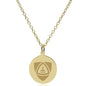 JHU School of Medicine 14K Gold Pendant & Chain Shot #2