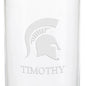 Michigan State Iced Beverage Glass Shot #3