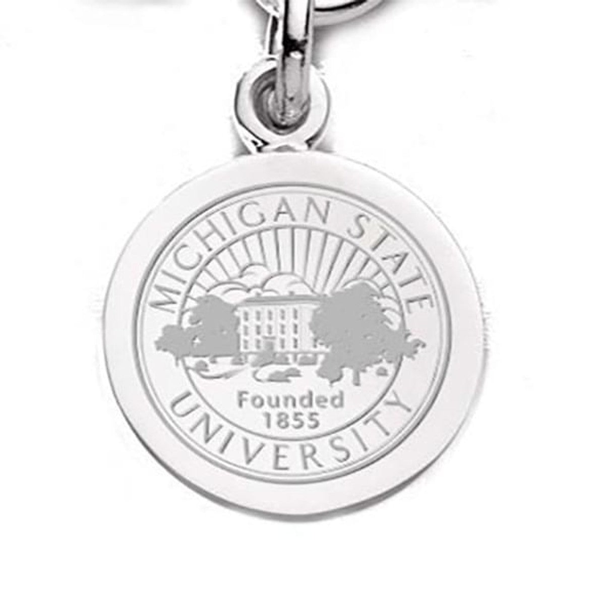 Michigan deals State Charms