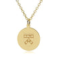 Penn Med 14K Gold Pendant & Chain Shot #1