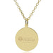 Pitt Med 14K Gold Pendant & Chain