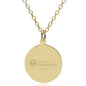 Pitt Med 14K Gold Pendant & Chain Shot #1