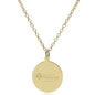 Pitt Med 14K Gold Pendant & Chain Shot #2