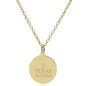 Texas Dell Med 14K Gold Pendant & Chain Shot #2