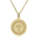 TTUHSC SOM 14K Gold Pendant & Chain