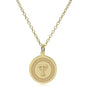 TTUHSC SOM 14K Gold Pendant & Chain Shot #2