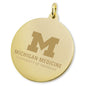 U-M Medical School 14K Gold Charm Shot #2