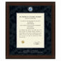 VP&S Diploma Frame - Excelsior Shot #1