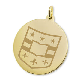 WashU 14K Gold Charm Shot #1