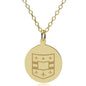 WashU 14K Gold Pendant & Chain Shot #1